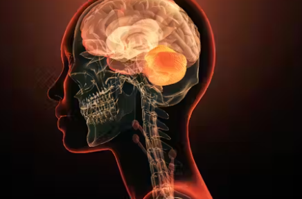 https://fibromyalgia.space/