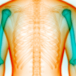 https://fibromyalgia.space/