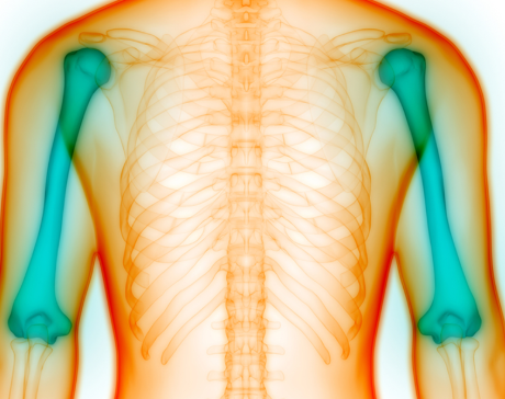 https://fibromyalgia.space/